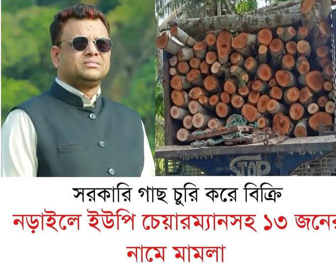 নড়াইলের শাহাবাদে সরকারি গাছ চুরি করে বিক্রির অভিযোগে ইউপির চেয়ারম্যানসহ ১৩ জনের নামে মামলা
