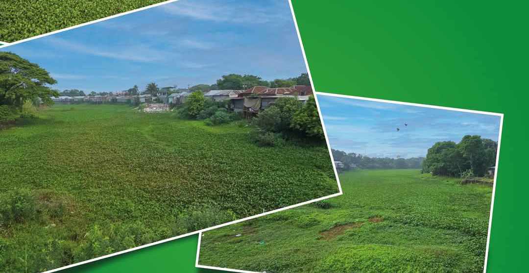 চরভদ্রাসনের ইউএনও পরিস্কারের উদ্যোগ নিয়েছেন ভুবেনশ্বর নদটি