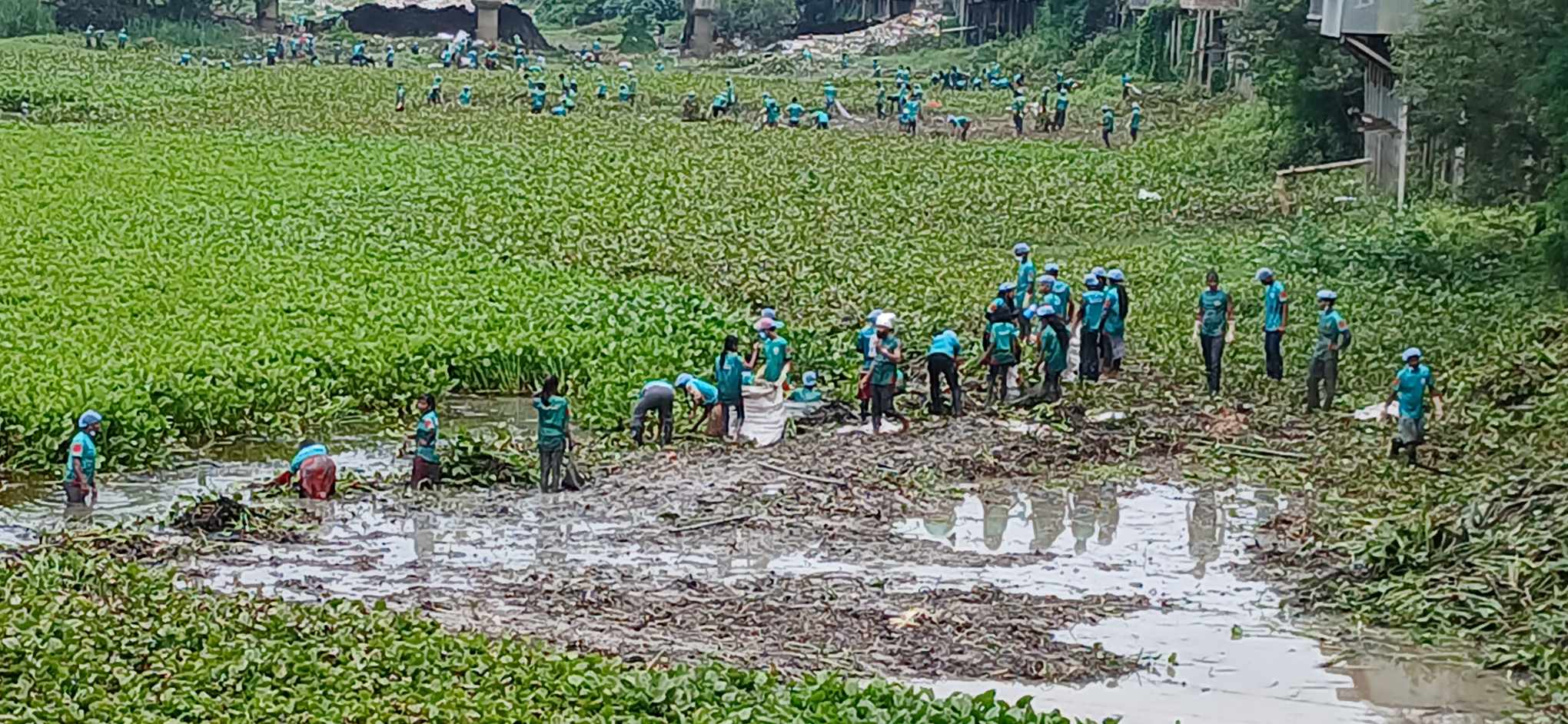 ফরিদপুরের চরভদ্রাসন উপজেলা ভুবনেশ্বর খালটি স্বেচ্ছাসেবী সংগঠন বিডি কিলিং  কচুরিপানা পরিষ্কারের মহতী উদ্যোগ
