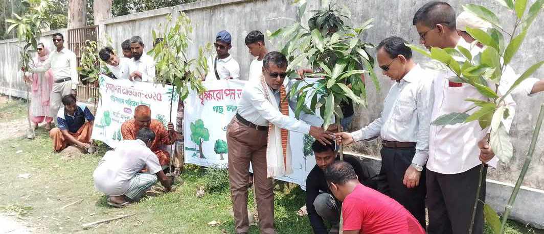 শ্রমিক দিবসে কৃষি শ্রমিকদের সম্মানে গাইবান্ধায় পালিত হলো বৃক্ষ রোপন কর্মসূচি