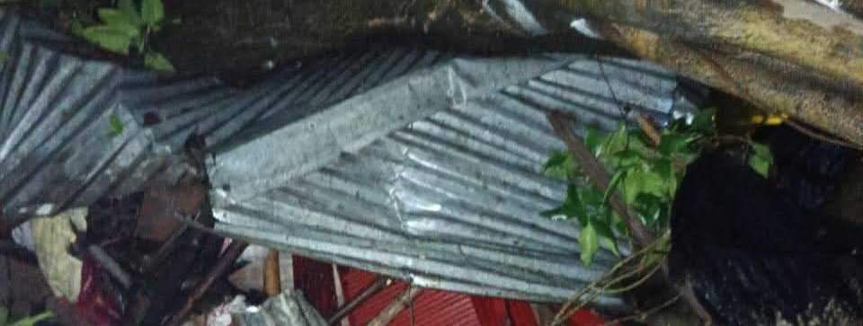 গাইবান্ধায় বটগাছের চাপায় প্রাণ গেল মহিলার
