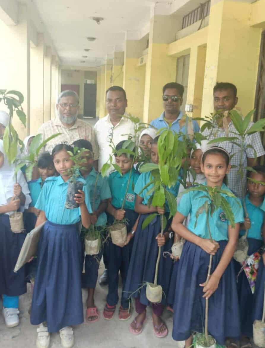 নবীনগরে স্কুল শিক্ষার্থীরা উপহার পেল গাছের চারা