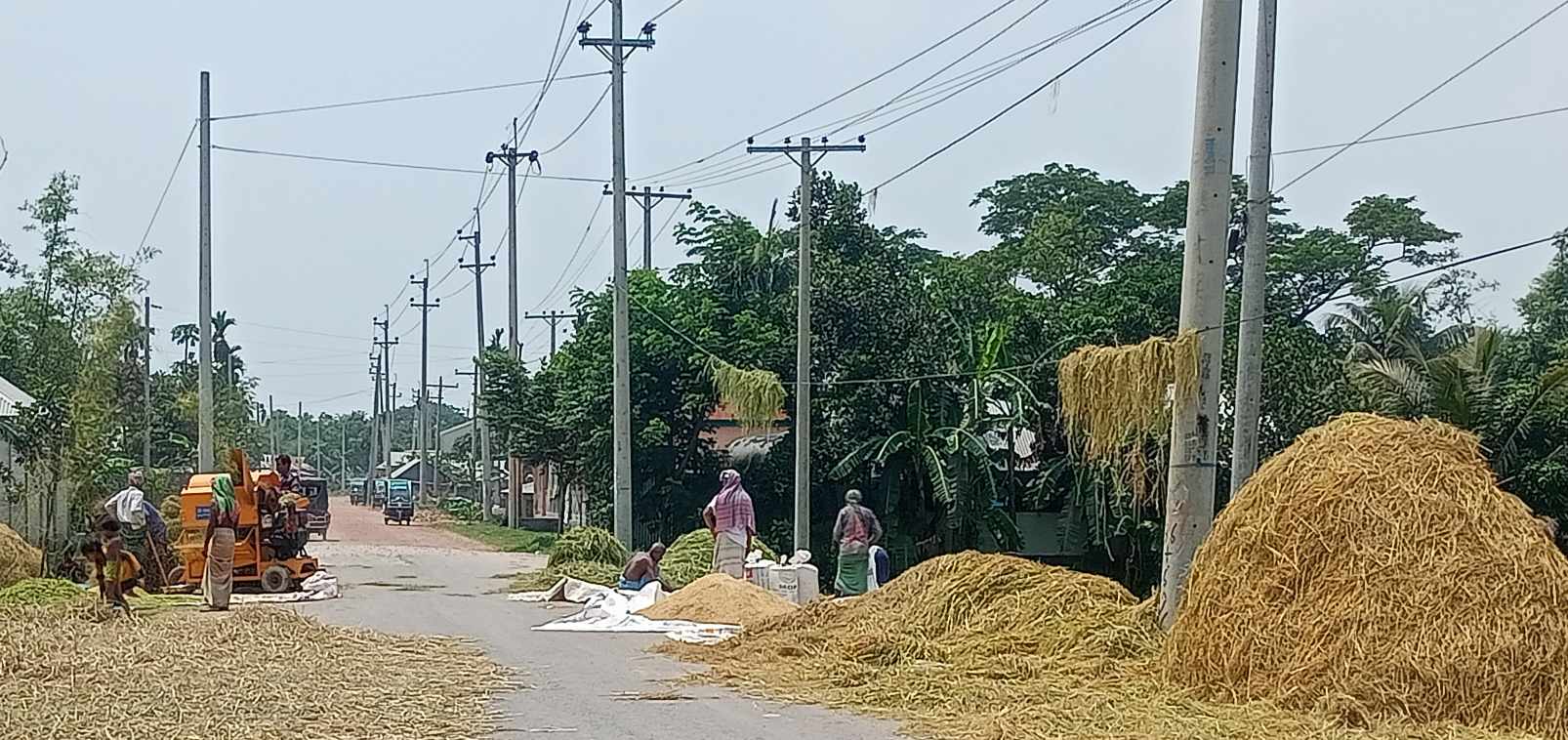 হোসেনপুরে সড়ক দুর্ঘটনায় রোধে রাস্তায় ধান,খড় না ফেলার নির্দেশ