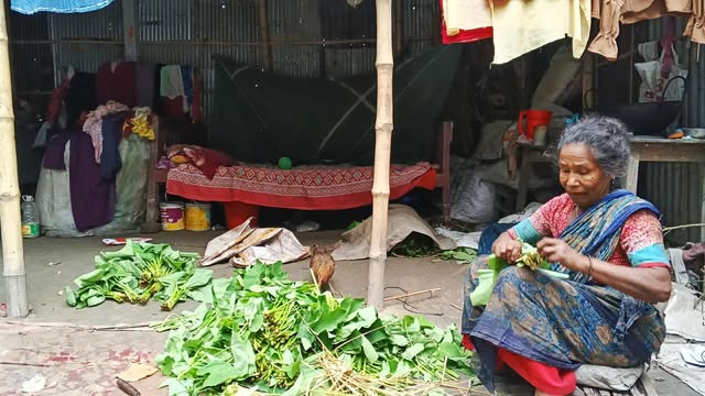সরকারি ঘর চায় জলঢাকার ৬২ বছরের বিধবা সুফিয়া বেগম