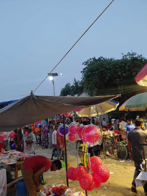 চরভদ্রাসন পদ্মাপুলকে দর্শনার্থীদের ভিড়