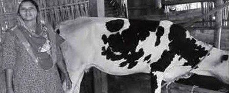 জীবন যুদ্ধে সংগ্রামী নারী গাইবান্ধার মমতাজ
