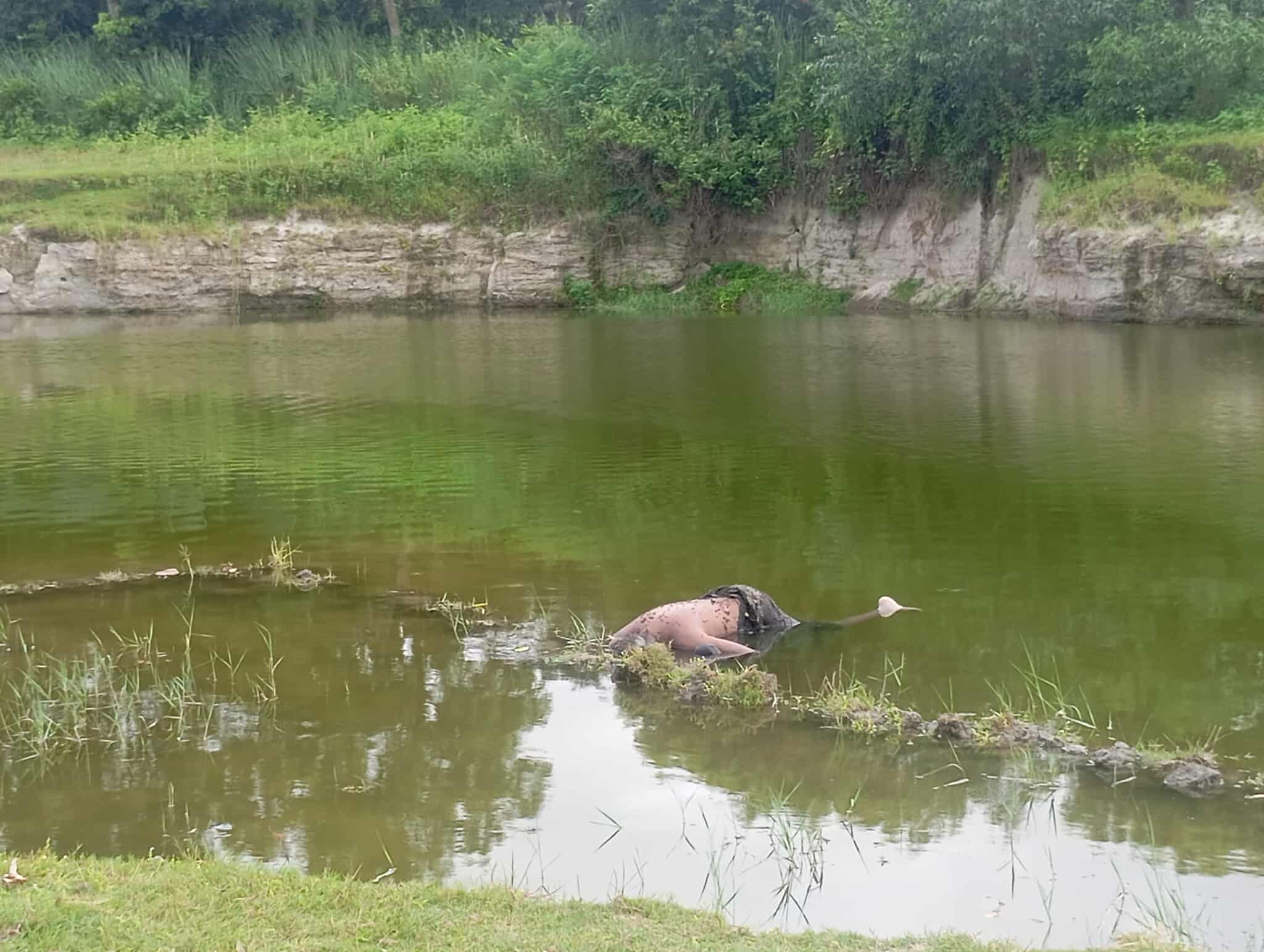 রাণীশংকৈলে পুকুর থেকে অজ্ঞাত ব্যাক্তির লাশ উদ্ধার