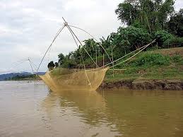 নবীনগরে খরাজালে চলে সংসারের চাকা