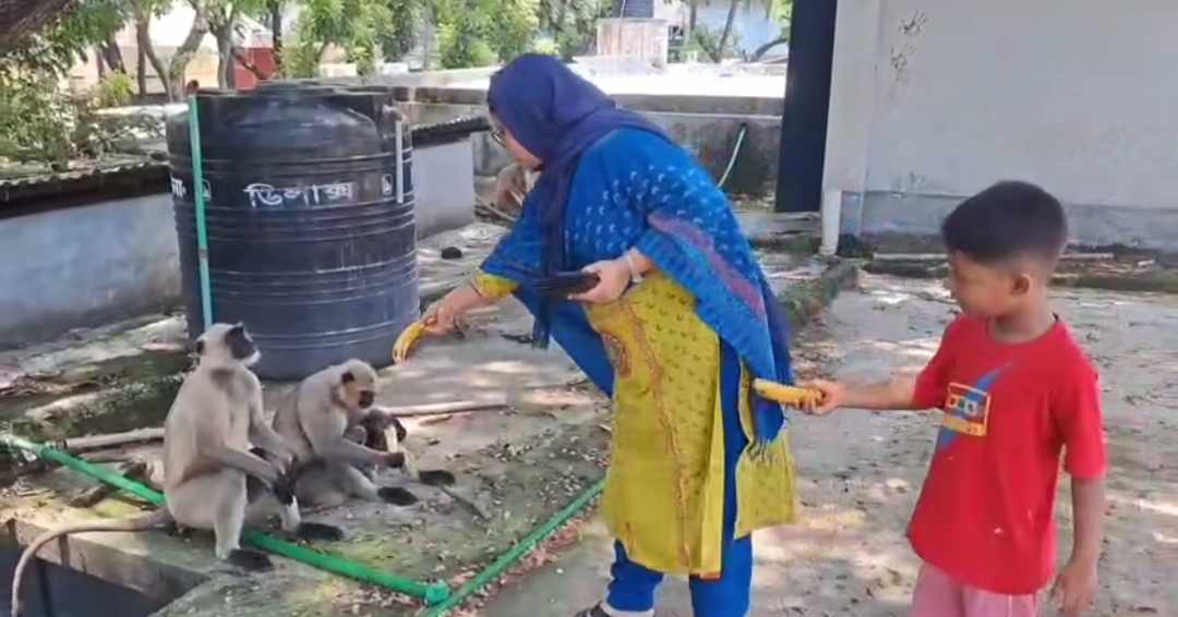 কেশবপুর উপজেলার নির্বাহি কর্মকর্তা রেক্সনা খাতুনের মহৎ উদ্যোগ