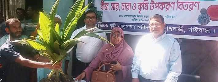 পলাশবাড়ীতে কৃষি অধিদপ্তরের নারিকেল চারা বিতরণ