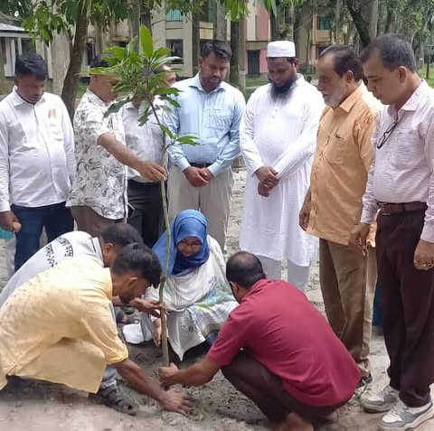 জুলাই গণঅভ্যুত্থানে শহীদদের স্মরণে কুলিয়ারচরে নাম ফলক ও বৃক্ষ রোপন