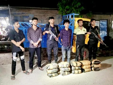 নবীনগরে ৩০কেজি গাঁজাসহ দুই মাদক ব্যবসায়ী আটক
