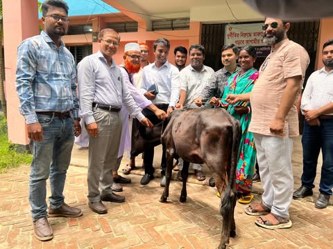 রাণীশংকৈলে ক্ষুদ্র নৃগোষ্ঠী পরিবারের মাঝে ২৫ টি গরু বিতরণ