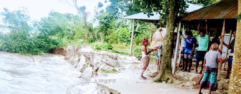 থামছে না তিস্তার ভাঙন, বিলীন হচ্ছে বসতবাড়ি ফসলি জমি