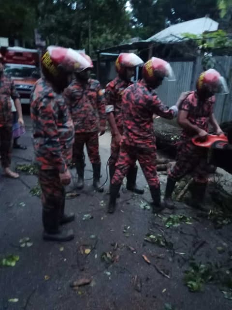 গাজীরটেক গাছ উলটে যোগাযোগ বিচ্ছিন্ন হওয়ায় ফায়ার সার্ভিসের চেষ্টায় যান চলাচল স্বাভাবিক