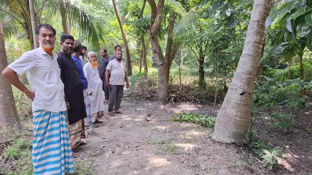 কচুয়ায় জোরপূর্বক জায়গা দখল ও ফলজ গাছের চারা কর্তনের অভিযোগ