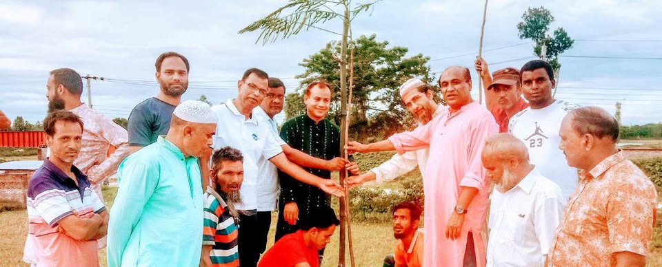 রাস্তার শোভা বর্ধন, আরসিসি সেতুর দু’পাশে লাগানো হল কৃষ্ণচুড়ার গাছ