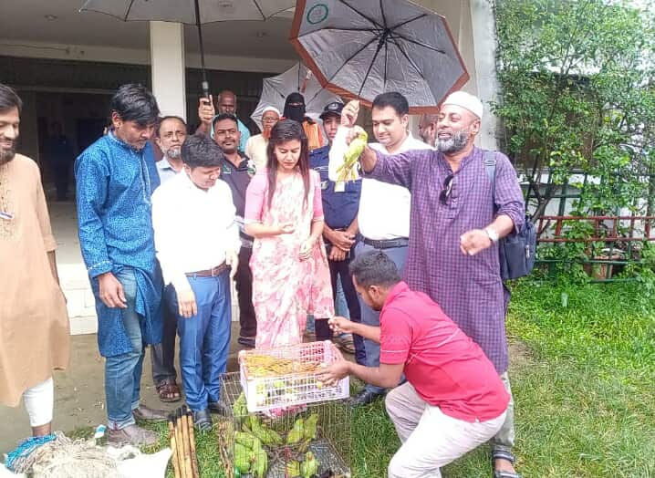 হোসেনপুরে বেদের খুপড়িতে অভিযান চালিয়ে ৬০টি টিয়া পাখি, জালসহ ফাঁদ জব্দ