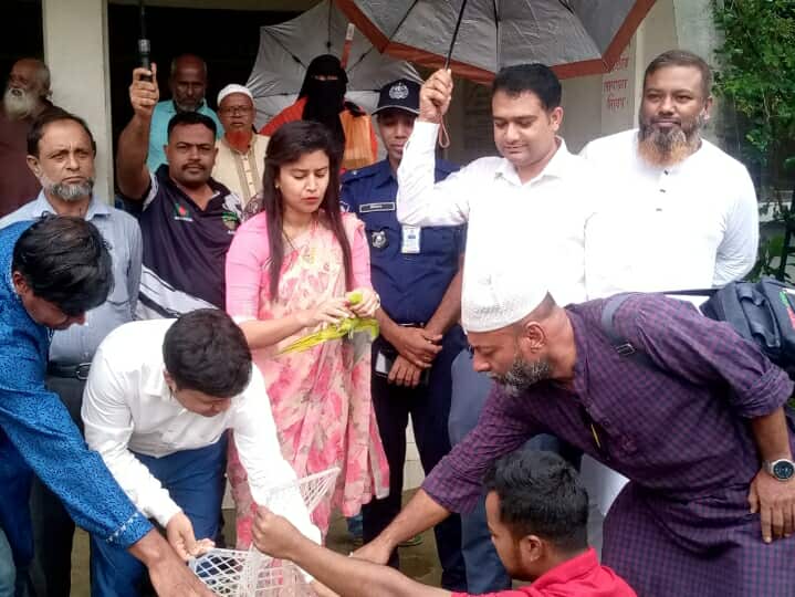 অর্ধশতাধিক টিয়াপাখি অবমুক্ত: ফাঁদ পুড়িয়ে ধ্বংস