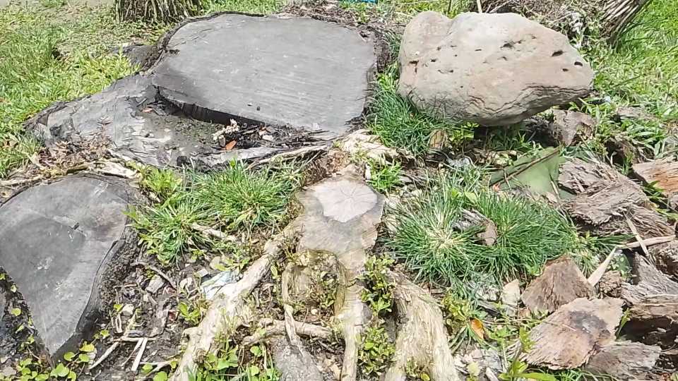 দত্তগ্রামে ঘর ভাংচুর, গাছকাটা ও পুকুর থেকে মাছ মেরে নেওয়ার অভিযোগ
