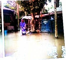 জলাবদ্ধতার নিরসন চেয়ে নির্বাহী কর্মকর্তা বরাবর খোলা চিঠি।