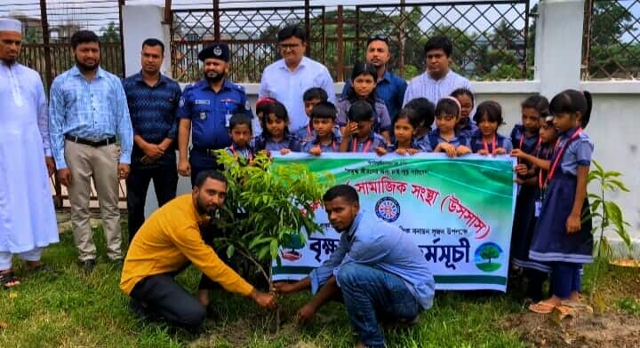সবুজে গড়া পৃথিবী মানেই উন্নয়নের আসল চাবিকাঠি