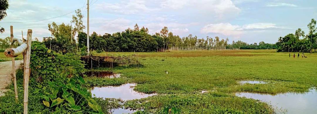 মিথ্যা ওয়ারিশ সম্পর্ক দাবী করে আদালতে মামলা দেয়ার অভিযোগ