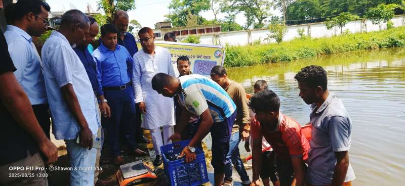 গোয়াইনঘাটে মৎস্য সপ্তাহ শেষে বিভিন্ন পুকুরে পোনামাছ অবমুক্ত