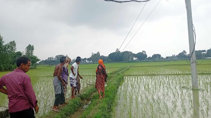 রাণীশংকৈলে পল্লী বিদ্যুতের খুঁটির টানায় বিদ্যুতায়িত হয়ে ৫ শিশু গুরুতর আহত