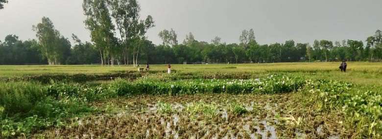 মিলছেনা অভিযোগের সমাধান, হয়রানির শিকার আঙ্গুর আলী
