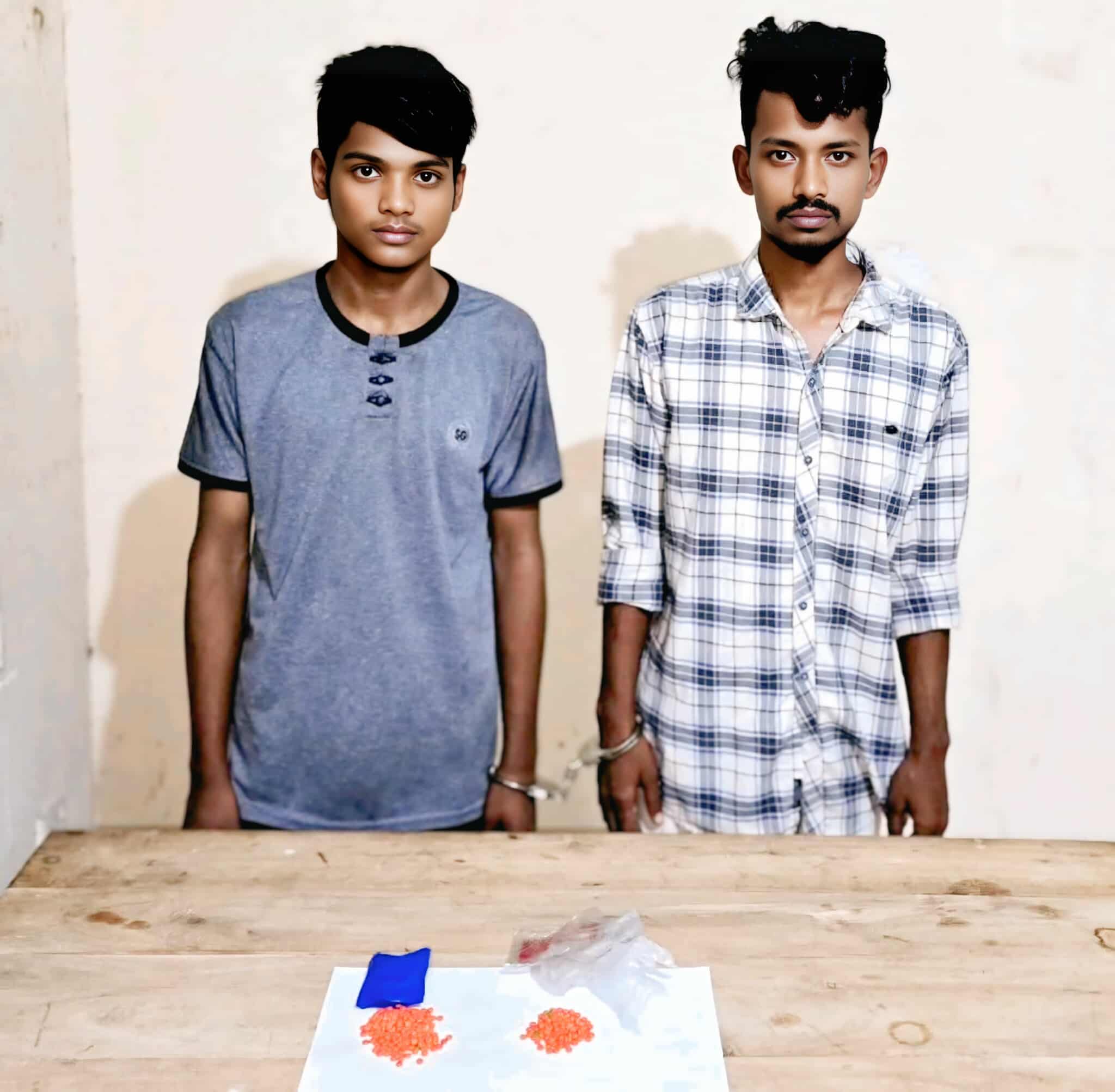হোমনায় ৫০০ পিস ইয়াবাসহ দুই মাদক কারবারি গ্রেপ্তার