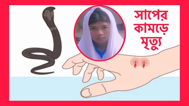 চন্দনাইশ বরকলে সাপের কামড়ে এক স্কুল ছাত্রী’র মৃত্যু