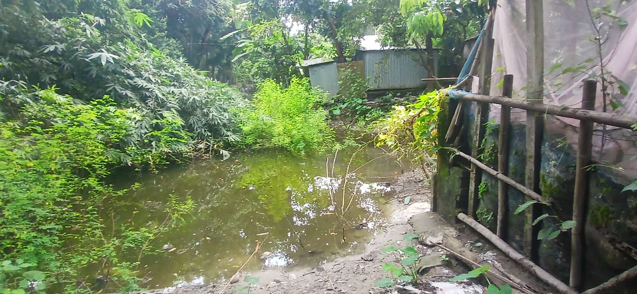 চরহাজীগঞ্জ বেপারী ডাংগি দিনমজুর খবিরুন্নেসাওলিটন খার জমি জবর দখলে পুকুর খনন:গ্রাম্যশালিসীদের তাচ্ছিল্য
