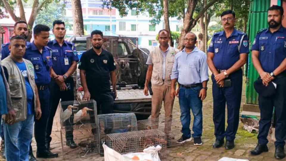 নড়াইলে নিরিবিলি পিকনিক স্পটে অভিযান অবৈধ চিড়িয়াখানা থেকে ২৫ বন্যপ্রাণী উদ্ধার