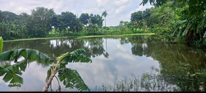 হোসেনপুরে বগারা খাল দখল করে বহুতল মার্কেট নির্মান,জলাবদ্ধতায় শত কৃষক : প্রশাসন নির্বিকার