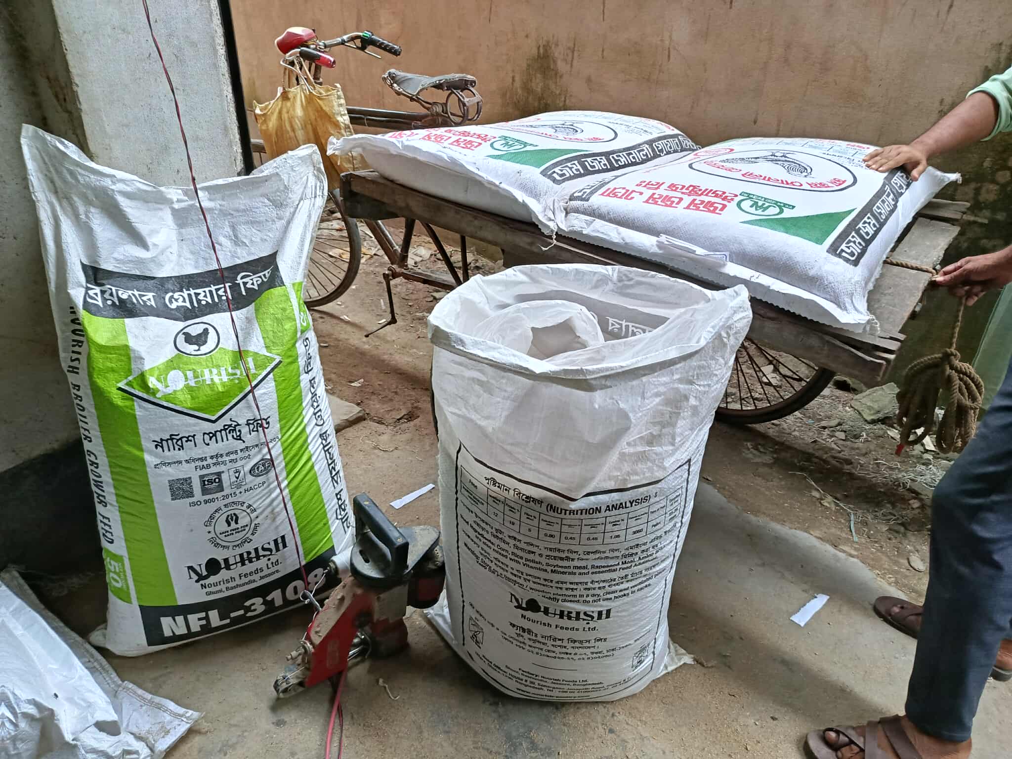 ঝিনাইদহের কোটচাঁদপুর নকল পোল্ট্রি ফিডের ব্যবসা জমজমাট