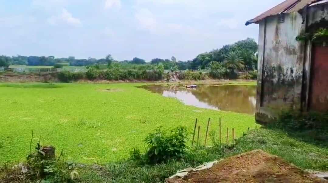নবীনগরে রাতের আধারে ড্রেজার দিয়ে মাটি উত্তোলন,আশেপাশে বাড়িগুলো ধ্বংসের মুখে 