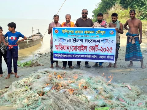 চরভদ্রাসনে ইলিশ রক্ষায় ৪ দিনে ৭০ হাজার মিটার কারেন্ট জাল এবং ৩০ কেজি মা ইলিশ জব্দ