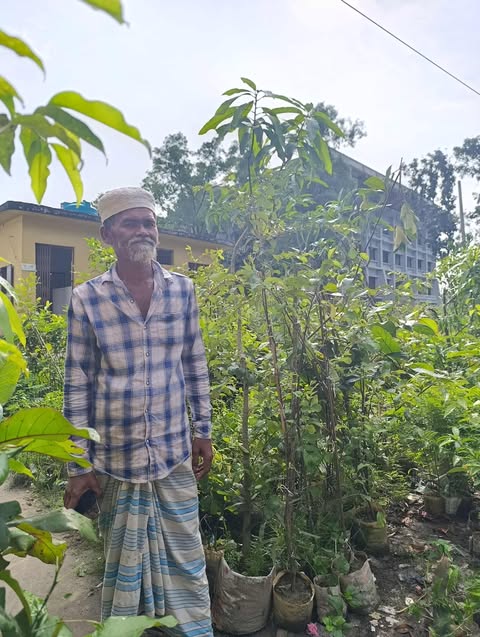 তাড়াইলে সবুজে ঘেরা স্বপ্নের উদ্যোগ মায়াবন নার্সারি