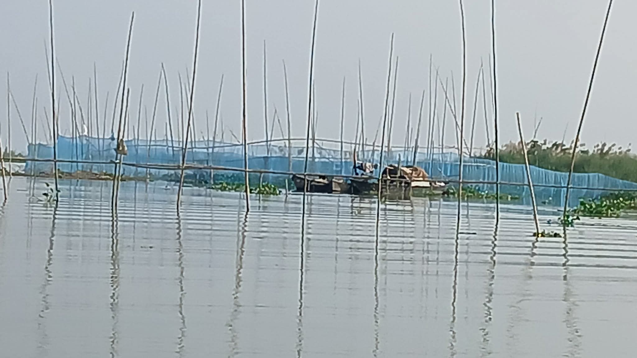 চরভদ্রাসনে পদ্মায় বাঁধ দিয়ে মাছ শিকার: প্রশাসন নির্বাক 
