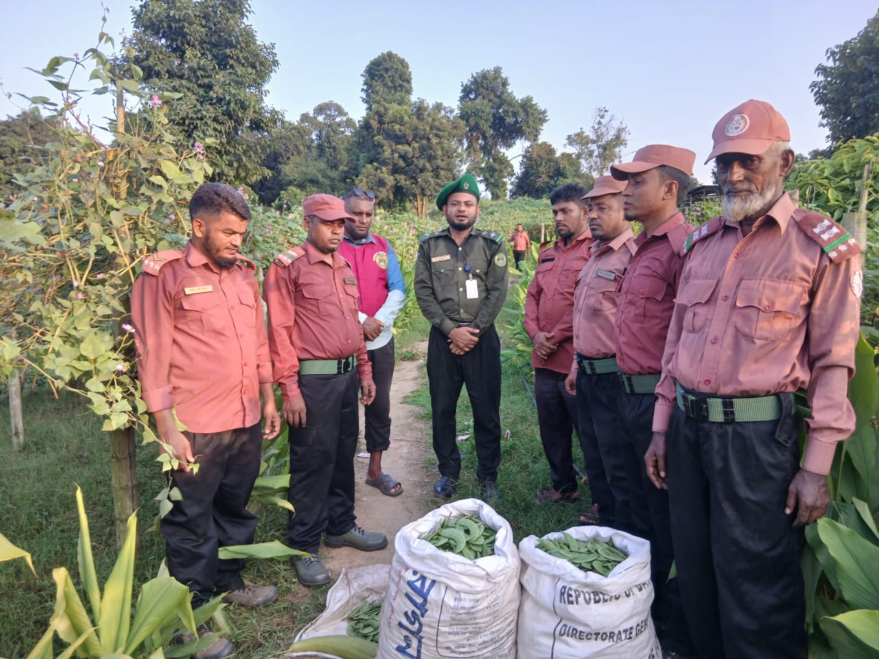 গুইমারার উপজেলা প্রশিক্ষকের উদ্যোগে ভিডিপি সদস্যের আগাম শিম চাষে সফলতা: স্বনির্ভরতার নতুন দিগন্ত