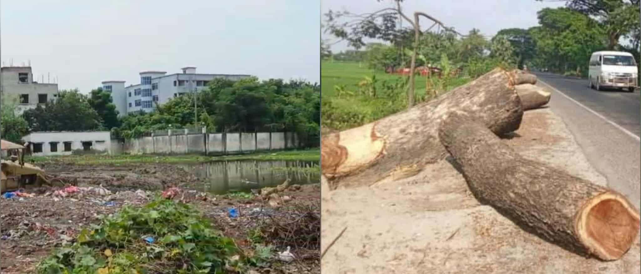 রাজশাহীতে পুকুর ভরাট ও গাছ কাটার মহোৎসব: প্রশাসনের নীরবতা প্রশ্নের মুখে