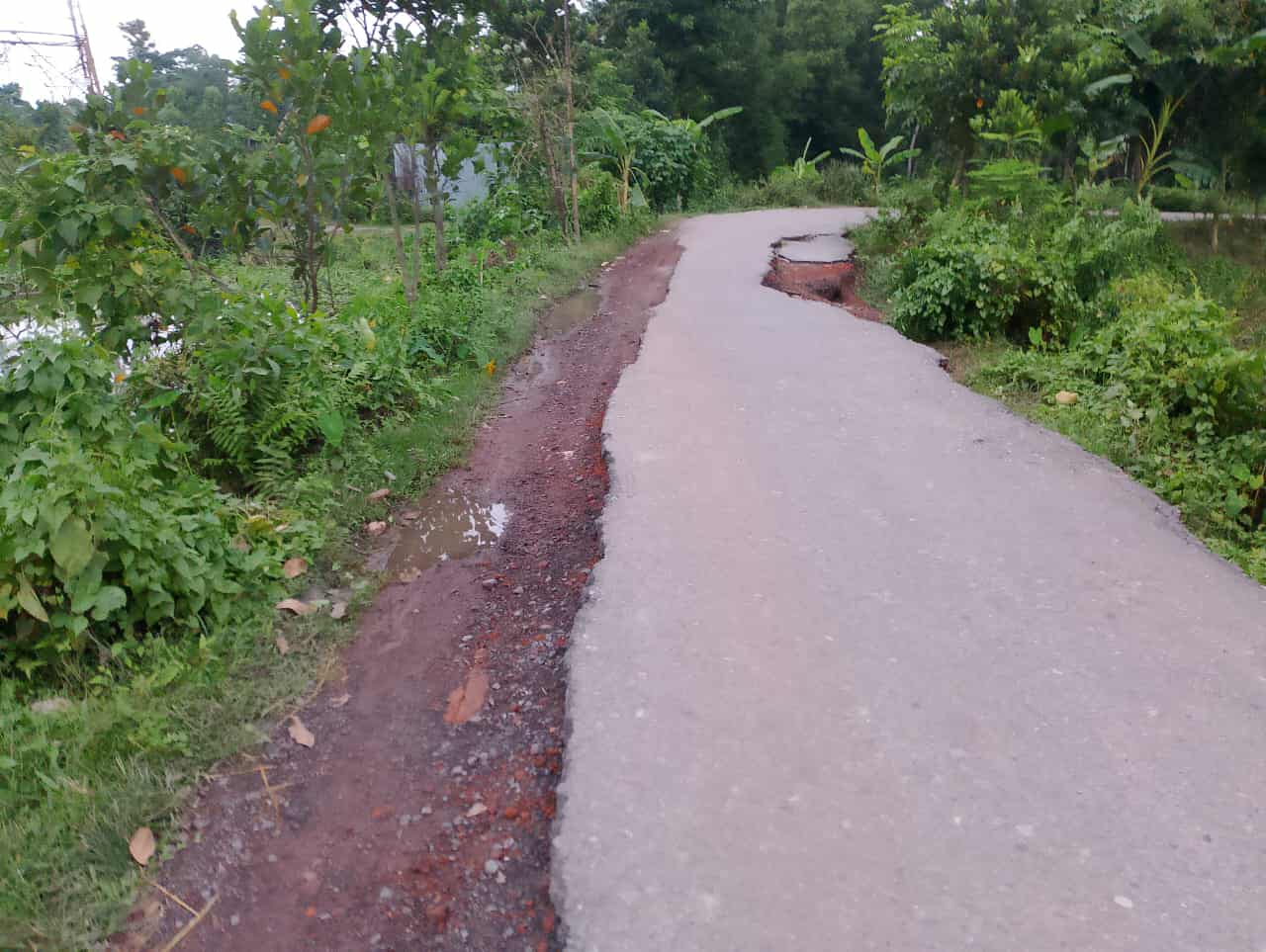 কচুয়ার ভূঁইয়ারায় পাকা সড়ক ভেঙ্গে পুকুরে,জনদুর্ভোগ চরমে