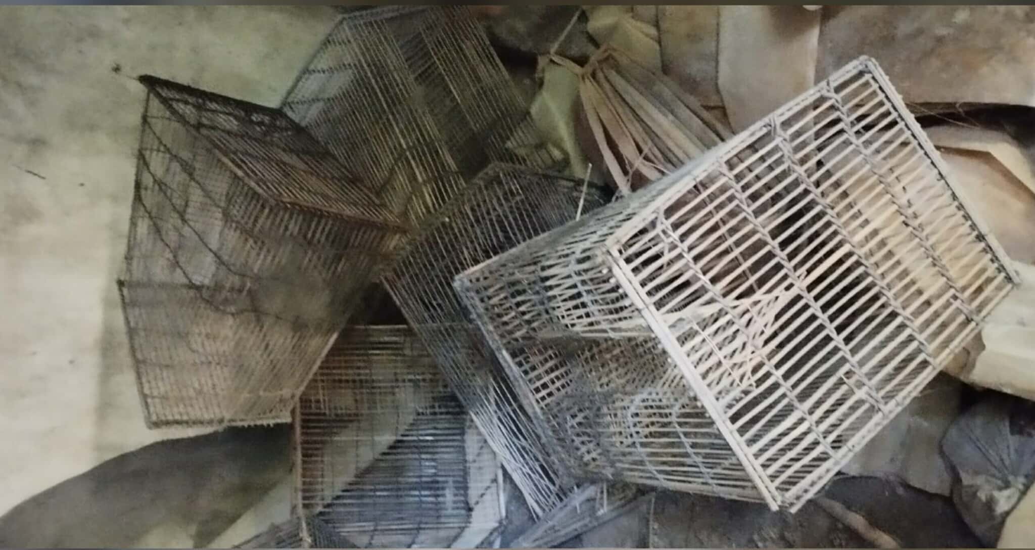 মনিরামপুরে মতৎ ঘের থেকে মাছ চুরির অভিযোগ