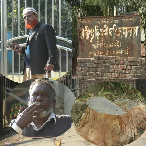 পলাশবাড়ীতে গাছ কর্তন ও নিয়োগ বানিজ্যের অভিযোগ উঠেছে মাদ্রাসা সুপারের বিরুদ্ধে