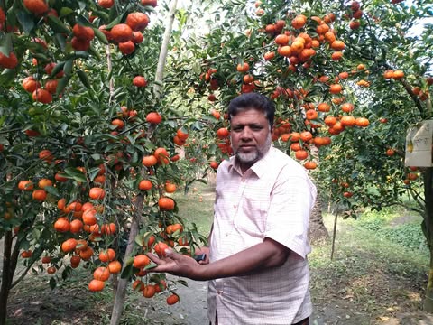 চায়না লেবু ও মাল্টা চাষেও সফল ‘ আঃ করিম