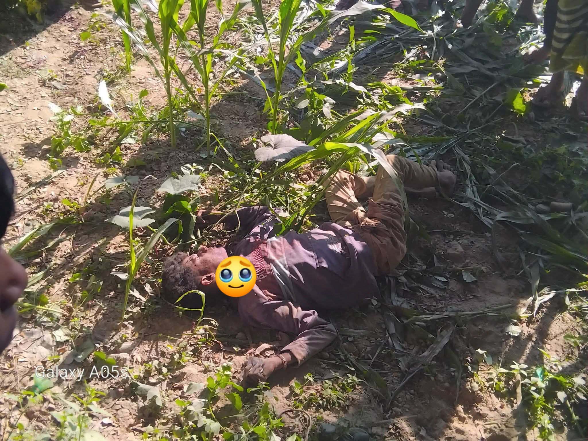 হোমনায় অটোরিকশা ছিনতাই করে চালককে গলা কেটে হত্যা