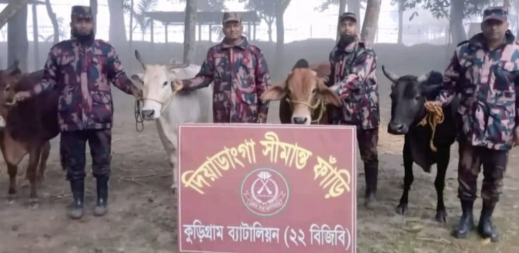 কুড়িগ্রাম সীমান্তে বিজিবির অভিযানে গবাদিপশু ও মাদকসহ চোরাচালানি পন্য জব্দ