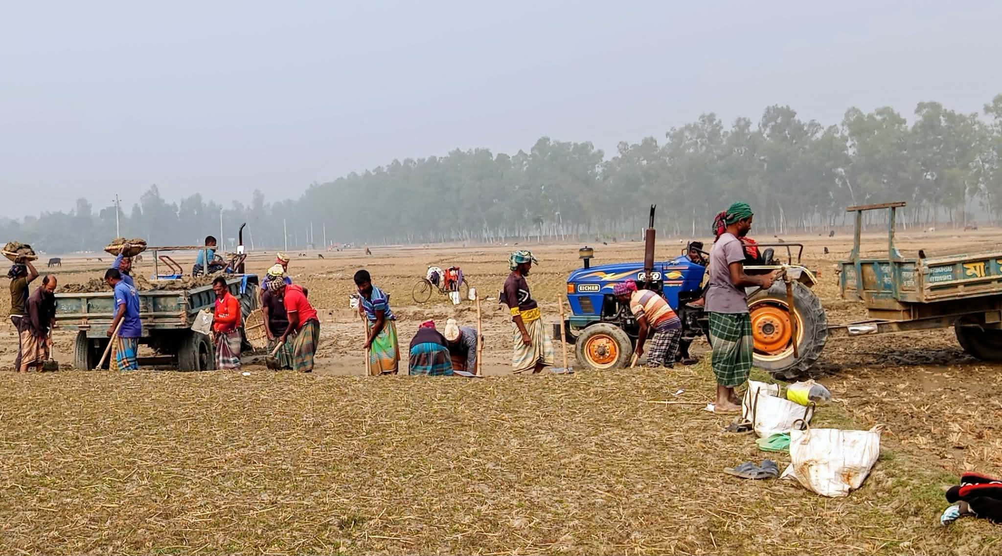 গাইবান্ধায় মাটি খেকোদের দৌরাত্ম্য, চলছে জমির টপ সয়েল বিক্রির প্রতিযোগিতা