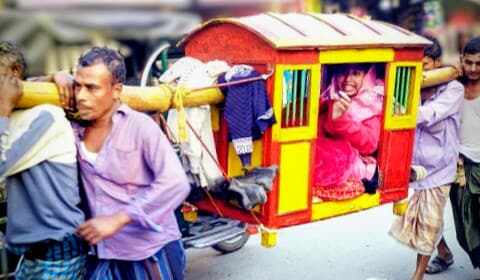 চরভদ্রাসনে পালকিতে চড়ে বিয়ে, প্রাণ ফিরে পেল আদি গ্রাম বাংলা